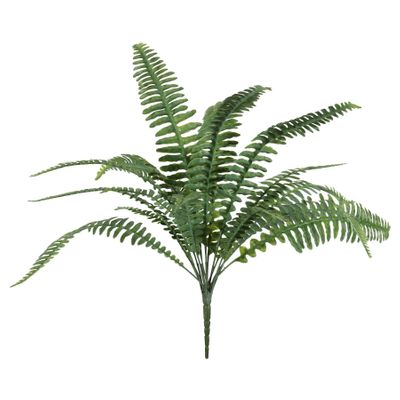 Boston Fern Bush U.V - 48cm
