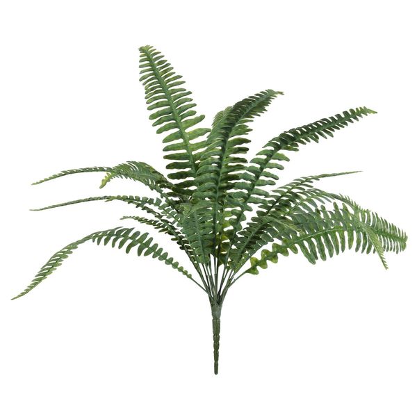 Boston Fern Bush U.V - 48cm