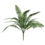 Boston Fern Bush U.V - 48cm