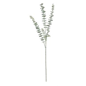 Essential Grey Eucalyptus Spray 