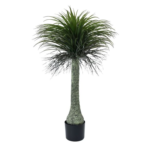 Botanica Yucca Tree in pot - 135cm 