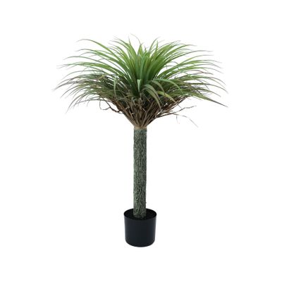 Botanica Yucca Tree in pot - 105cm 