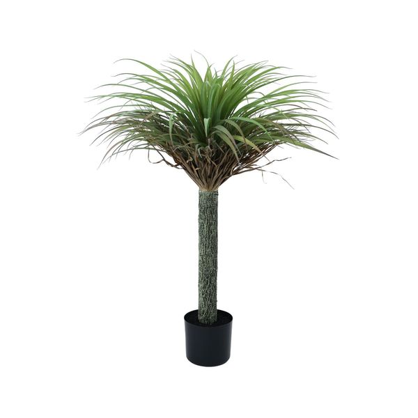 Botanica Yucca Tree in pot - 105cm 