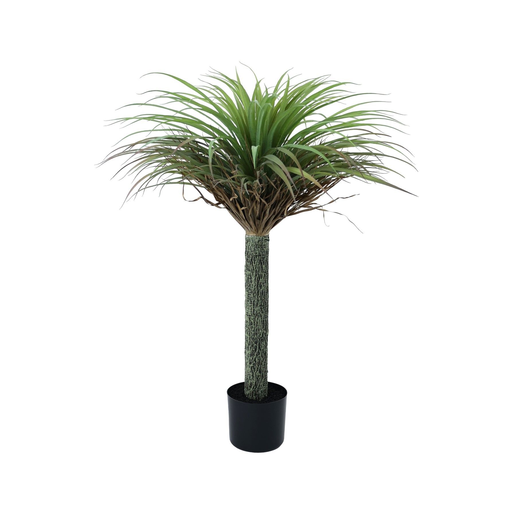 Botanica Yucca Tree in pot - 105cm 