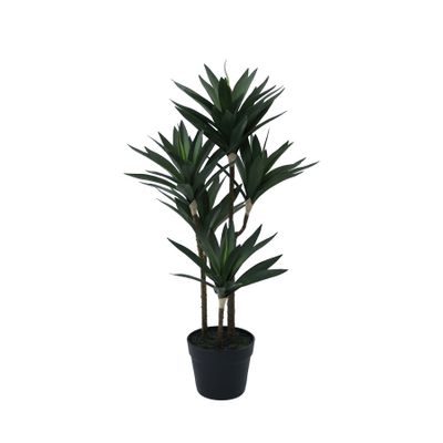 Botanica Yucca Tree in pot - 78cm 