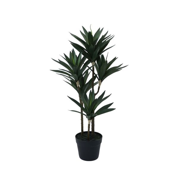 Botanica Yucca Tree in pot - 78cm 