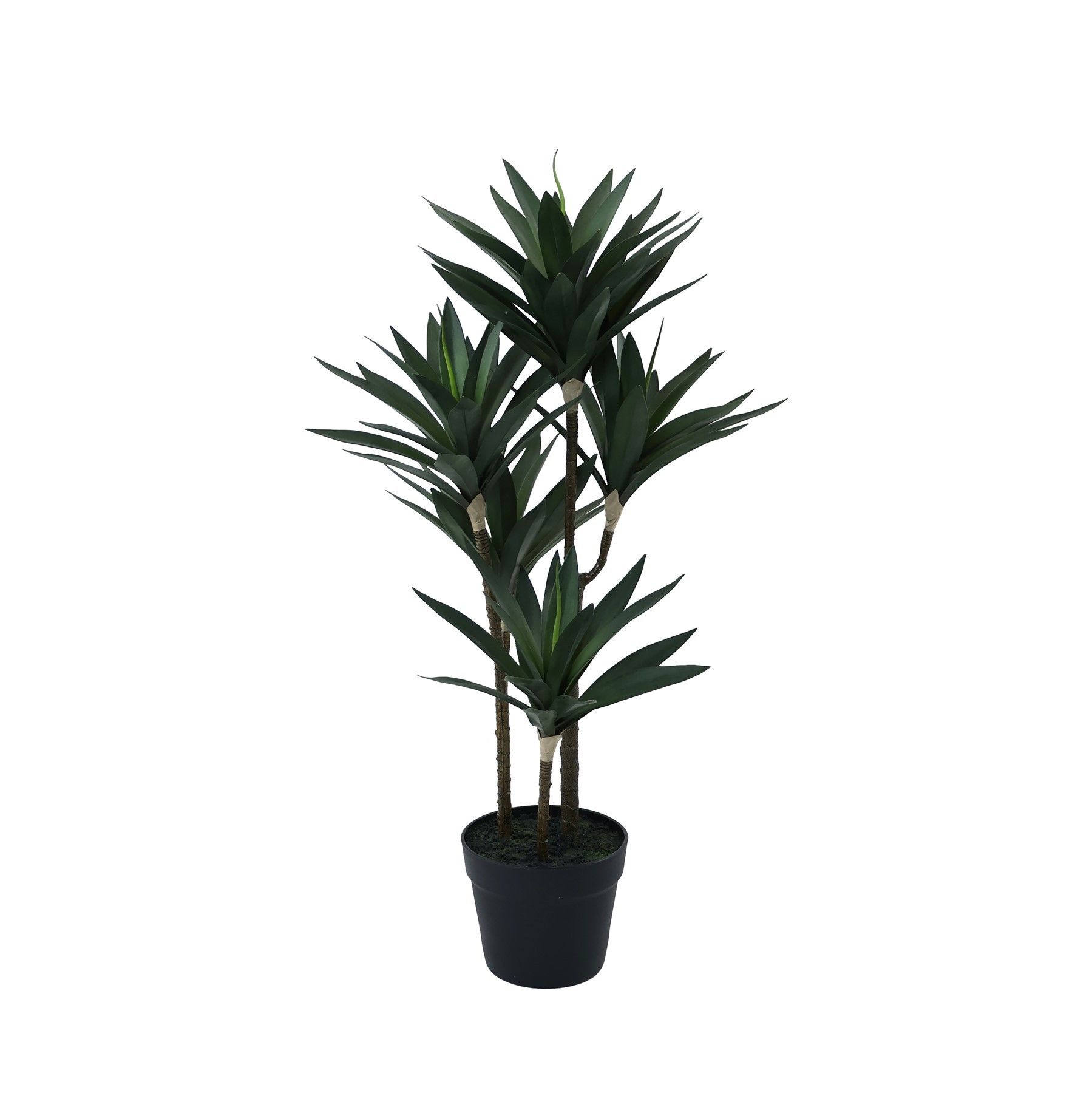 Botanica Yucca Tree in pot - 78cm 