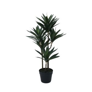 Botanica Yucca Tree in pot - 78cm 
