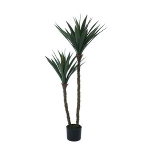 Botanica Yucca Tree in pot - 120cm 