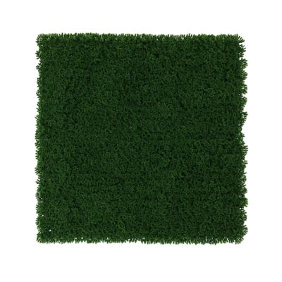 Exterior Moss Wall - Dark Green - 50 x 50cm