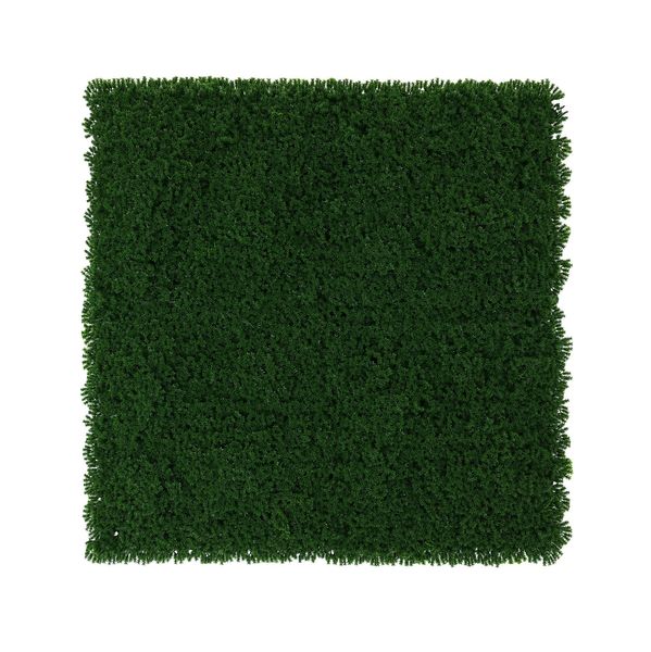 Exterior Moss Wall - Dark Green - 50 x 50cm