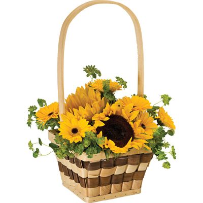 Check Mate Basket - 3