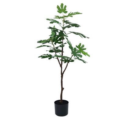 Botanica Fig Tree in pot - 105cm 