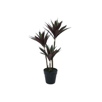 Botanica Yucca Tree in pot - 63cm 