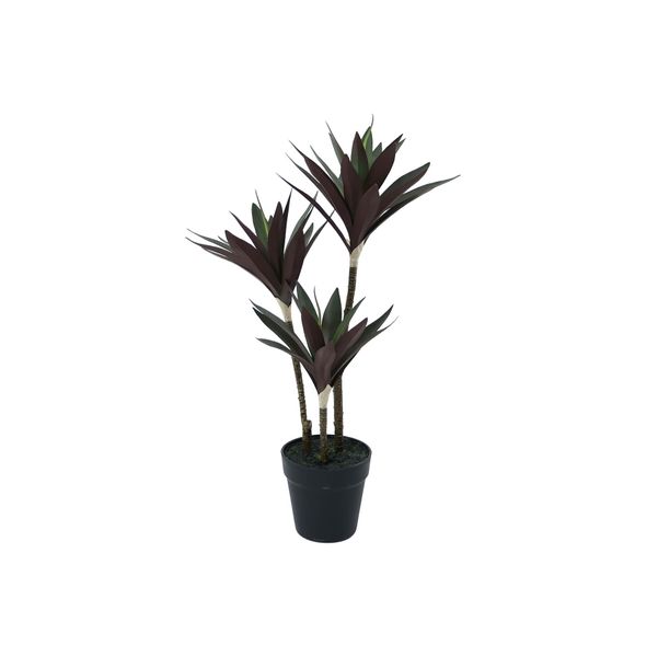 Botanica Yucca Tree in pot - 63cm 