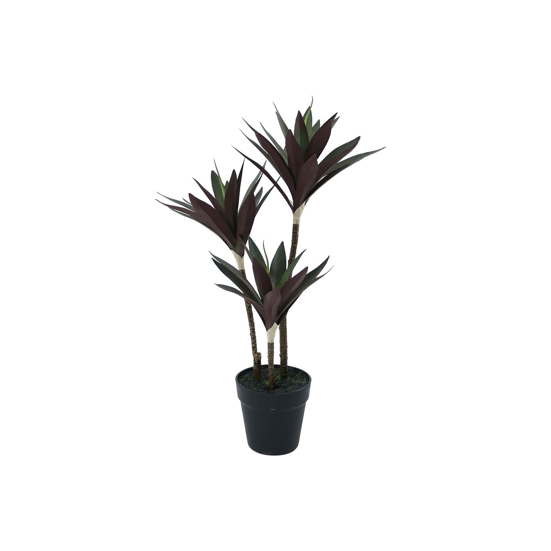 Botanica Yucca Tree in pot - 63cm 