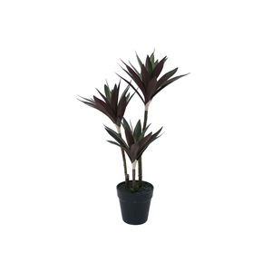 Botanica Yucca Tree in pot - 63cm 