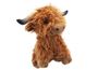 Highlands cow