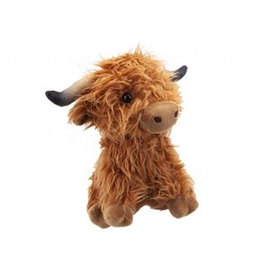 Highlands cow