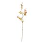 Botanica Rose Hip Spray - 85cm