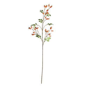 Botanica Rose Hip Spray - 95cm