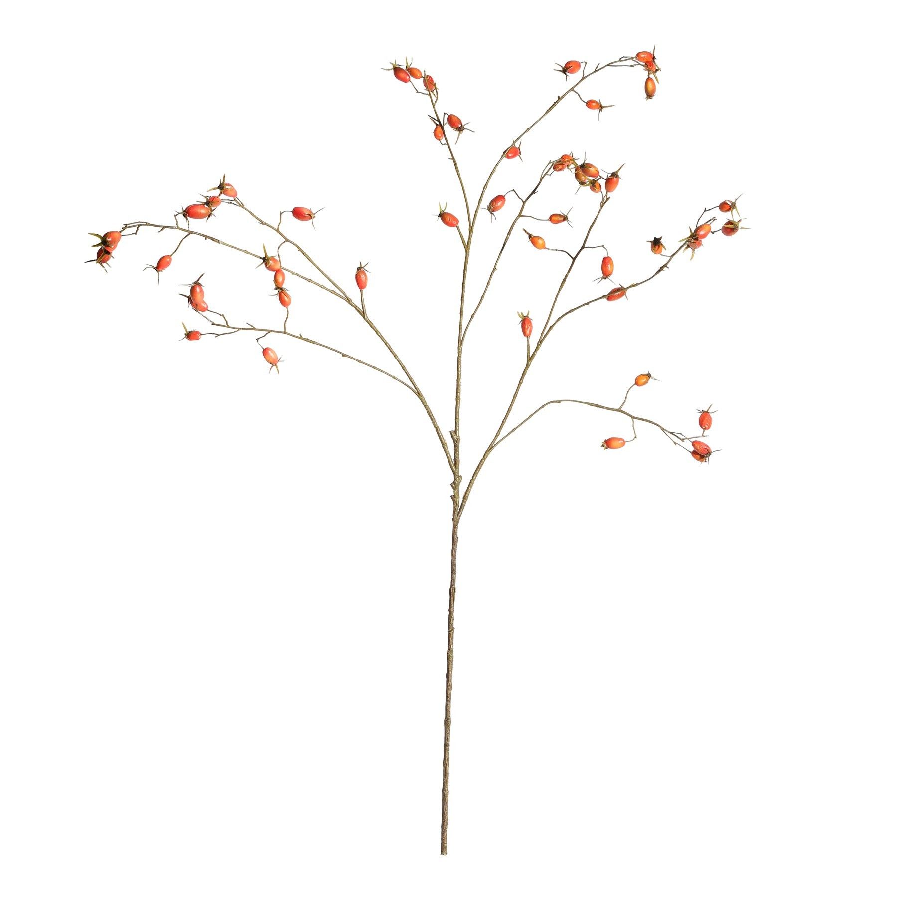 Botanica Rose Hip Branch - 106cm