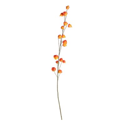 Botanica Houzuki Fruit Branch - Orange - 144cm