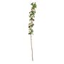 Botanica Mini Apple Branch - Pink - 137cm