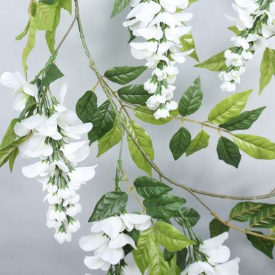 Wisteria Garland Cream (210cm)(6/72)