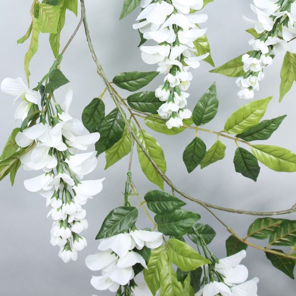 Wisteria Garland Cream (210cm)(6/72)