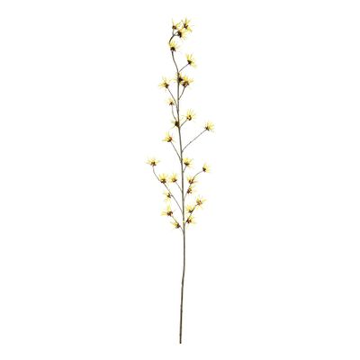 Botanica Hamamelis Branch - Yellow - 153cm