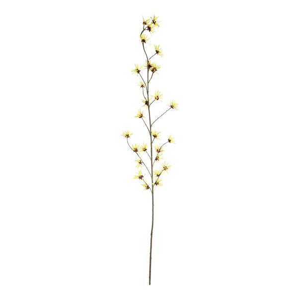 Botanica Hamamelis Branch - Yellow - 153cm