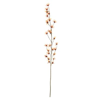 Botanica Hamamelis Branch - Orange - 153cm