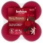 Bolsius True Glow Merry Moments  Fragrance  CC Maxi Tea Lights - 4Hr -Pk 8