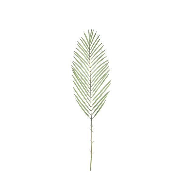 Botanica Areca Palm Frond Small