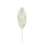 Botanica Areca Palm Frond Small