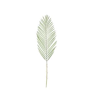 Botanica Areca Palm Frond Small