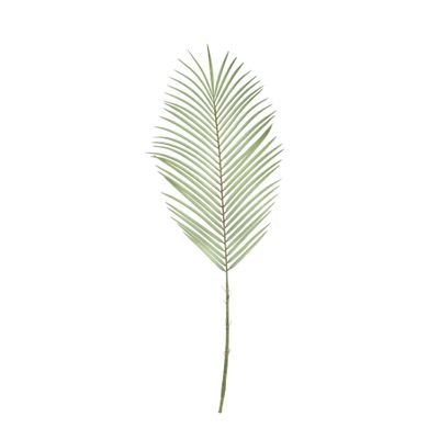 Botanica Areca Palm Frond Medium