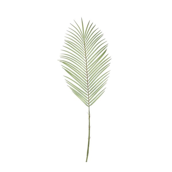 Botanica Areca Palm Frond Medium
