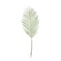 Botanica Areca Palm Frond Medium