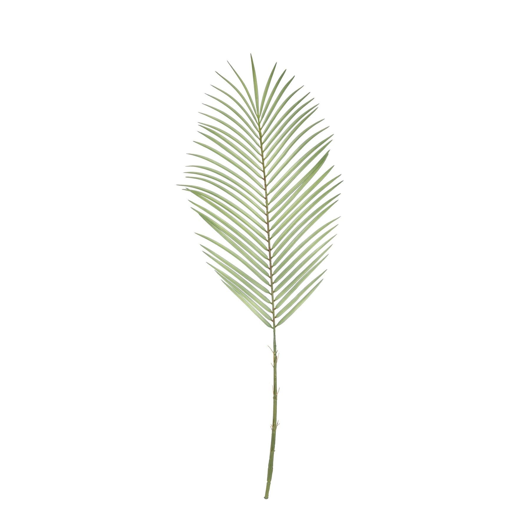 Botanica Areca Palm Frond Medium