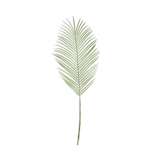 Botanica Areca Palm Frond Medium