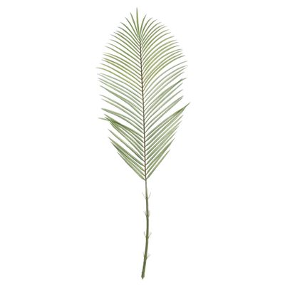 Botanica Areca Palm Frond Large