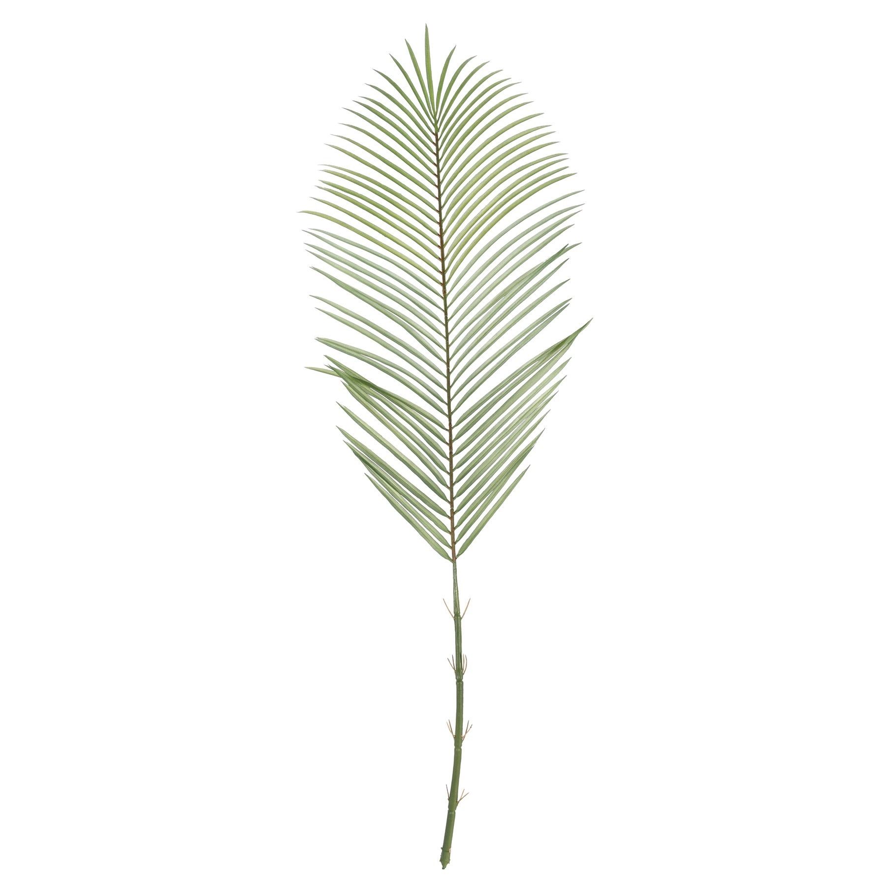 Botanica Areca Palm Frond Large