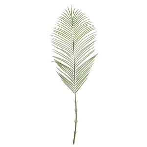 Botanica Areca Palm Frond Large