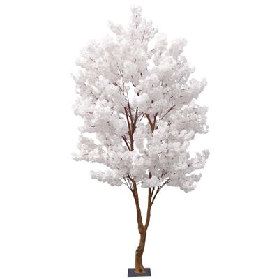 Sakura Blossom Tree - White - 2.8m
