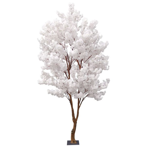 Sakura Blossom Tree - White - 2.8m