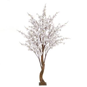Yoshino Blossom Tree - White - 1.8m