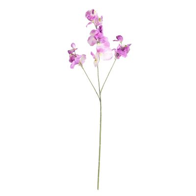 Botanica SweetPea - Purple - 73cm