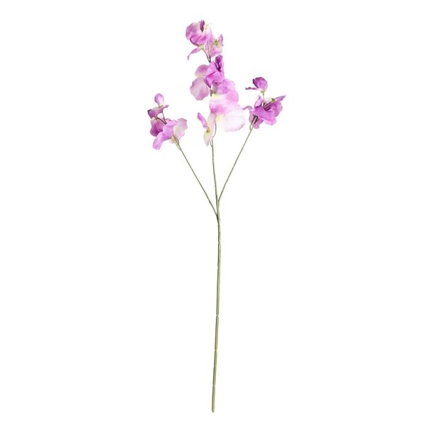 Botanica SweetPea - Purple - 73cm